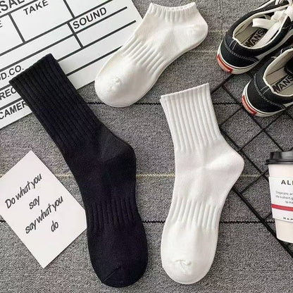 🧦 Tienda oficial TLOPA® – Colección de calcetines largos, medianos y cortos. Suaves, elásticos y antideslizantes